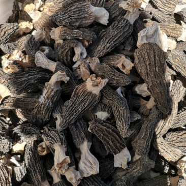 羊肚菌干品云南干羊肚菌产地批发一件代发包邮