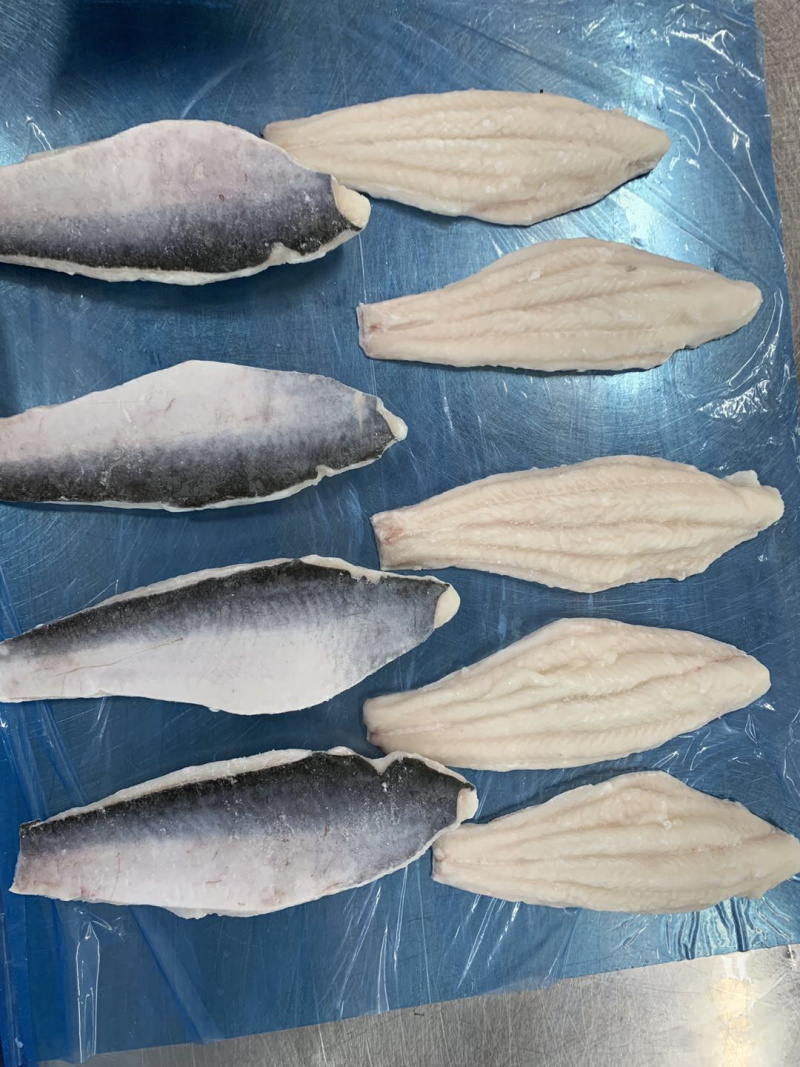 专业巴沙鱼系列产品批发现货