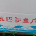 专业巴沙鱼系列产品批发现货