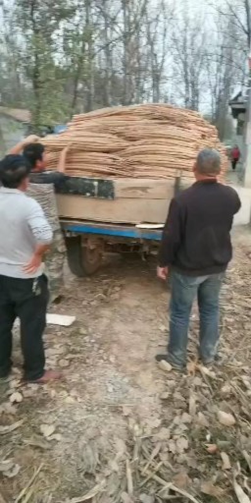 铁棍山药欢迎新老顾客前来采购，，，，洽谈，，，