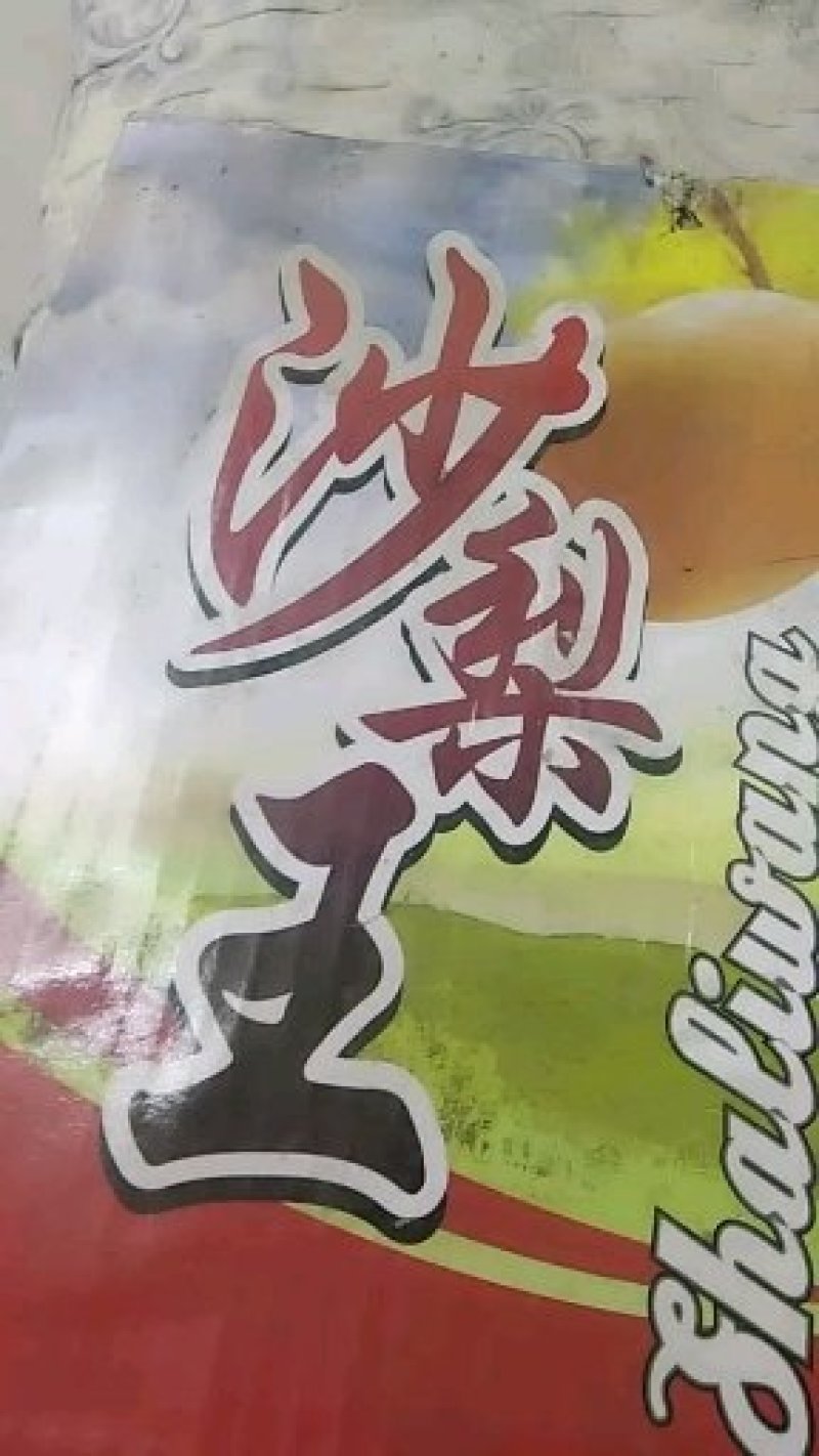 沙梨王