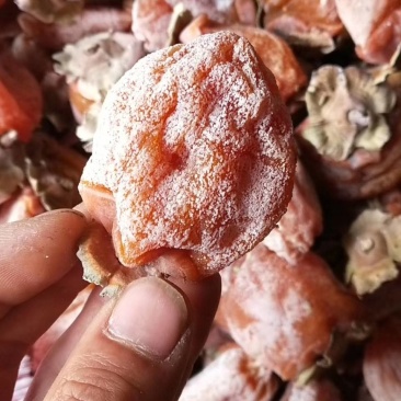 陕西正宗的富平贡品柿饼