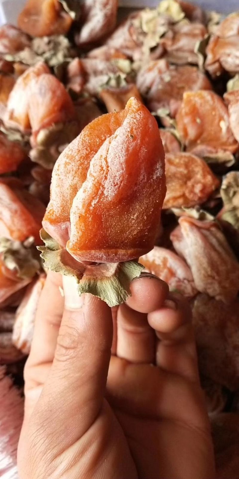 陕西正宗的富平贡品柿饼