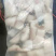 专业巴沙鱼系列产品批发现货