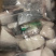 专业巴沙鱼系列产品批发现货