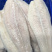 专业巴沙鱼系列产品批发现货