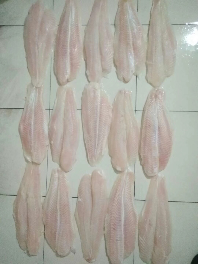 专业巴沙鱼系列产品批发现货