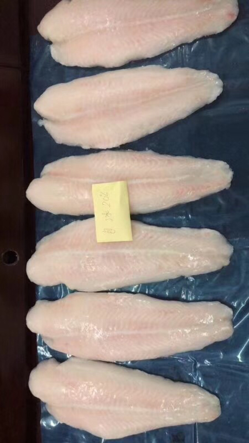 专业巴沙鱼系列产品批发现货