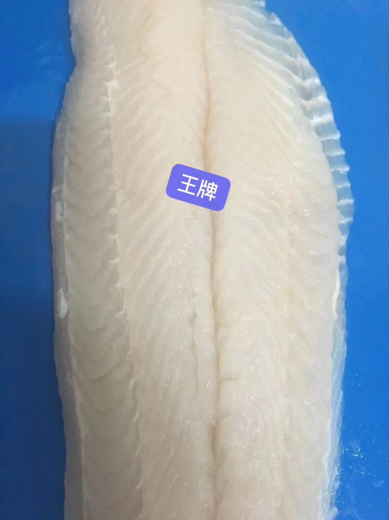 专业巴沙鱼系列产品批发现货