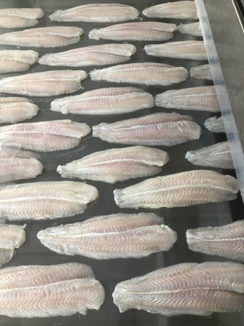 专业巴沙鱼系列产品批发现货