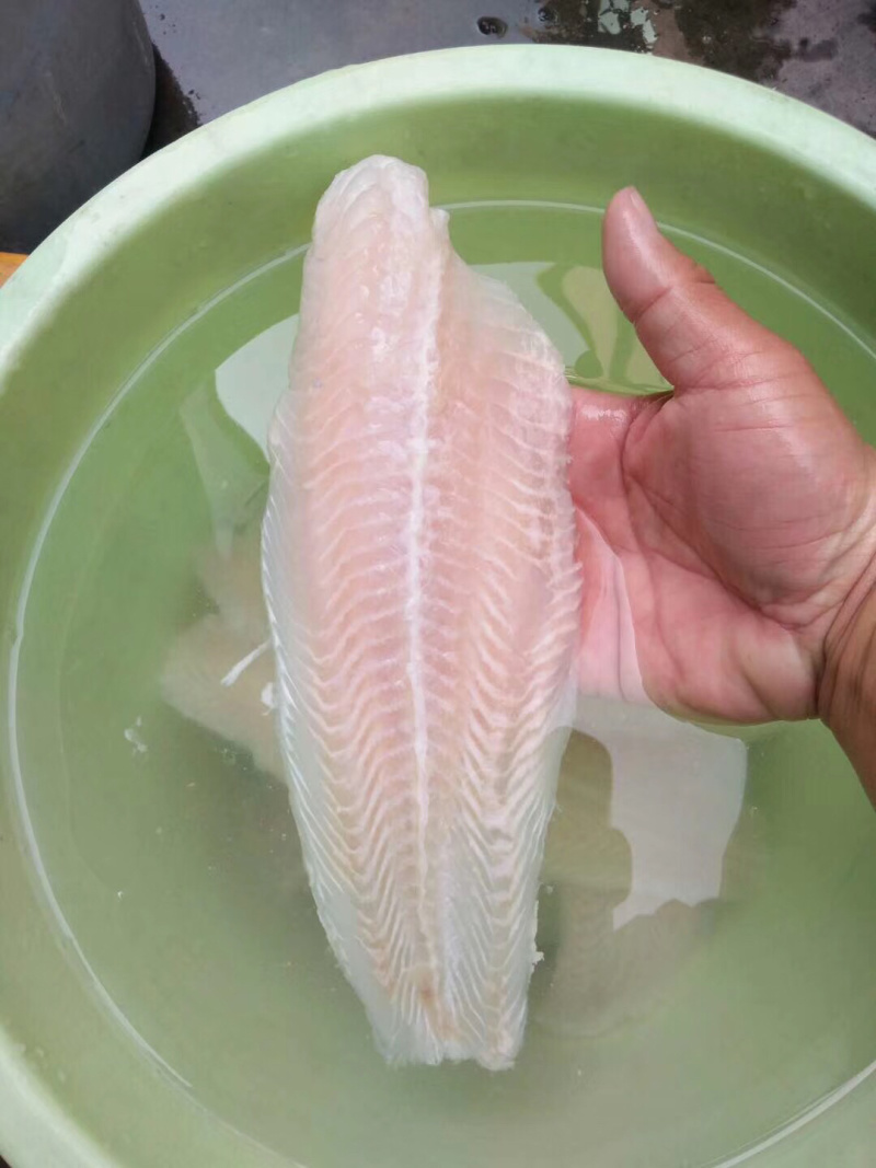 专业巴沙鱼系列产品批发现货