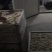 黑瑶鸡红瑶鸡可鉴别公母包质包量包打疫苗直供出壳鸡苗