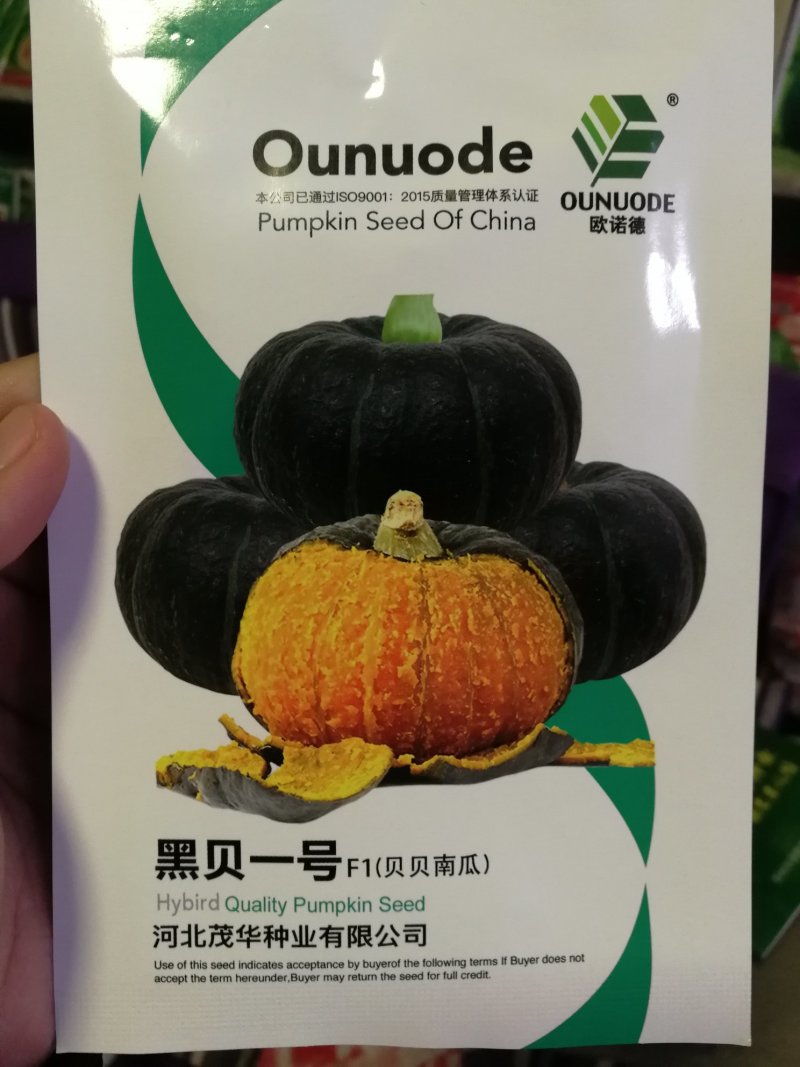 【精选】迷你黑贝贝种子南瓜种子甜度高糯型强产量高