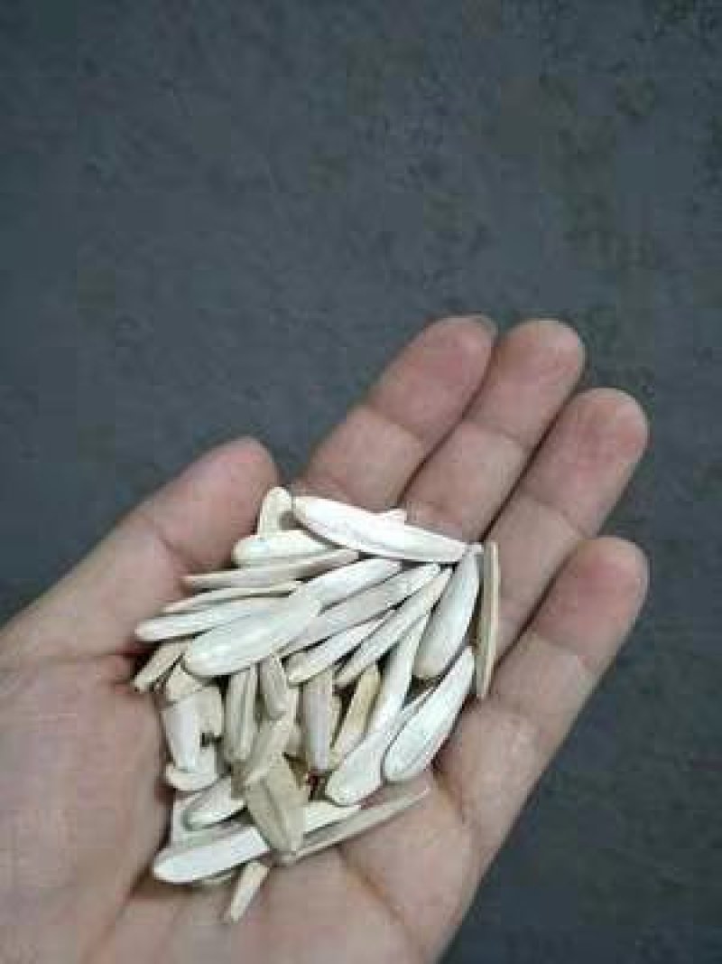 新疆阿克苏马牙白瓜子特级尖下巴长瓜子非散装仁350克一袋