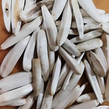 新疆阿克苏马牙白瓜子特级尖下巴长瓜子非散装仁350克一袋