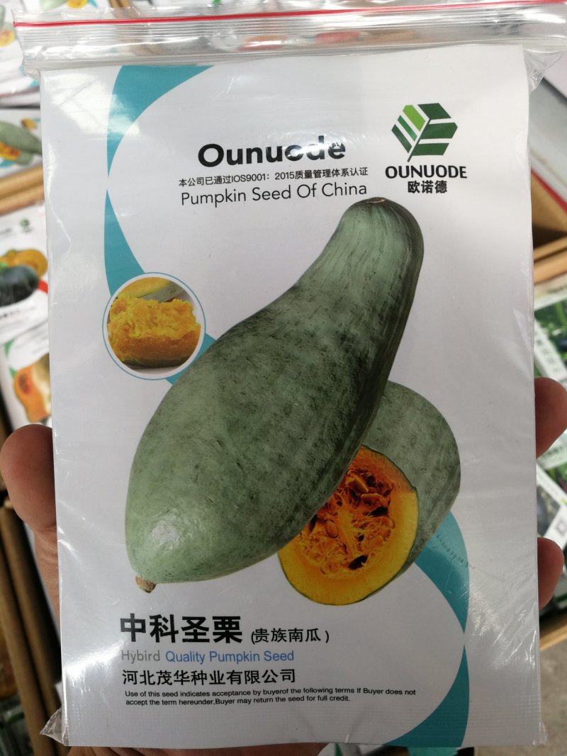 【优质】30粒装贵族南瓜种子丑瓜甜度高口感糯性强