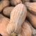 【优质】罗汉蜜本南瓜种子品质好产量高50粒一袋