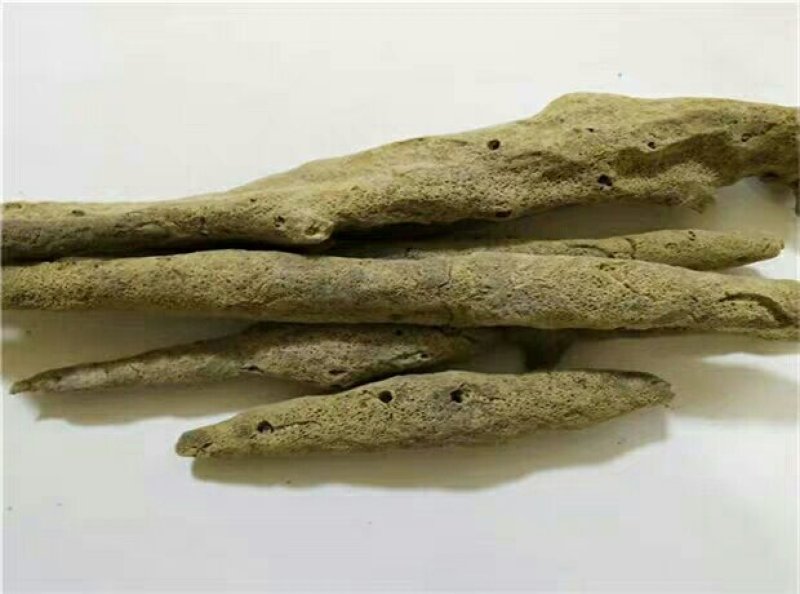 紫梢花千余品种供应承接订单