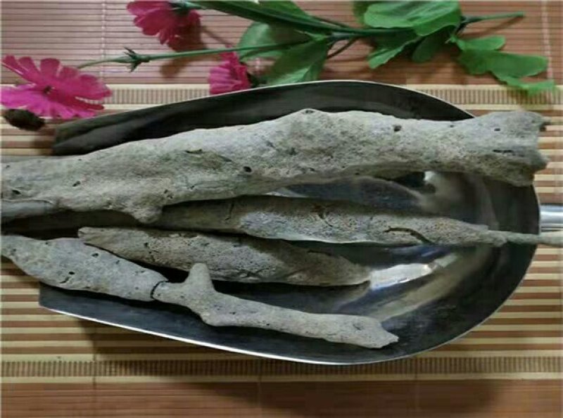 紫梢花千余品种供应承接订单