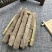 紫梢花千余品种供应承接订单