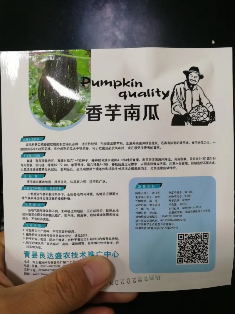 【精选】香芋南瓜种子个头小口感好甜味足抗性好