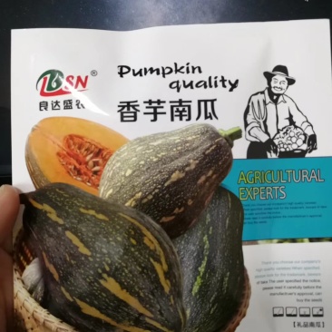 【精选】香芋南瓜种子个头小口感好甜味足抗性好