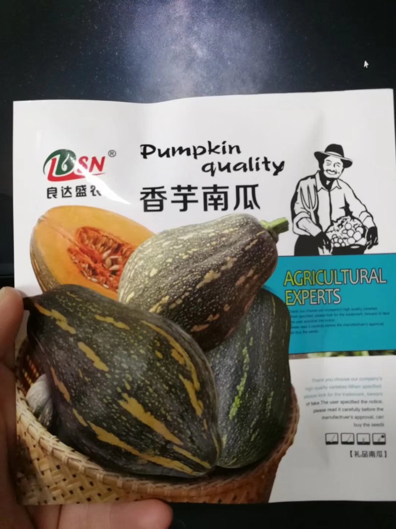 【精选】香芋南瓜种子个头小口感好甜味足抗性好