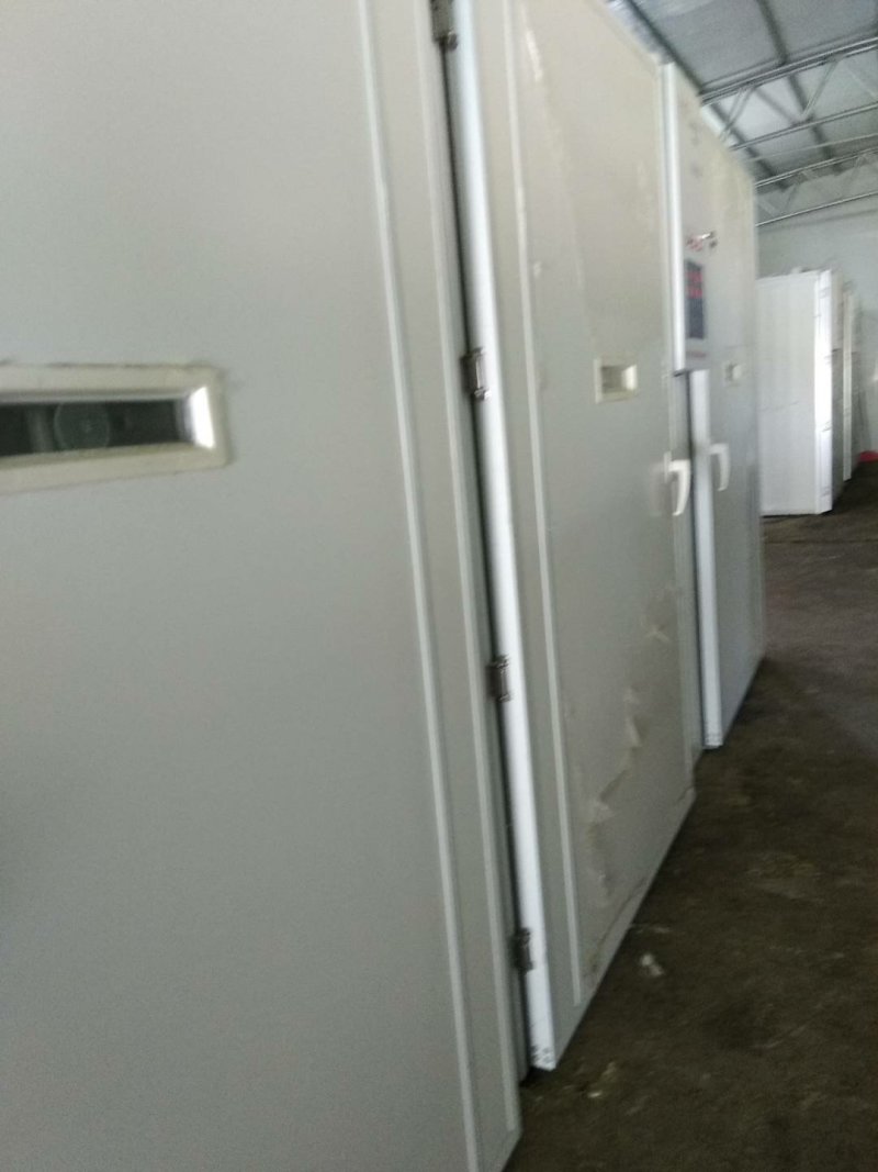 灵山土鸡苗灵山麻鸡红公鸡苗大红公鸡散养鸡苗