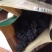 黑桑葚干新疆特产无沙桑子可做桑葚膏泡酒茶400g