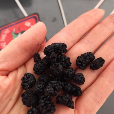 黑桑葚干新疆特产无沙桑子可做桑葚膏泡酒茶400g