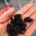 黑桑葚干新疆特产无沙桑子可做桑葚膏泡酒茶400g