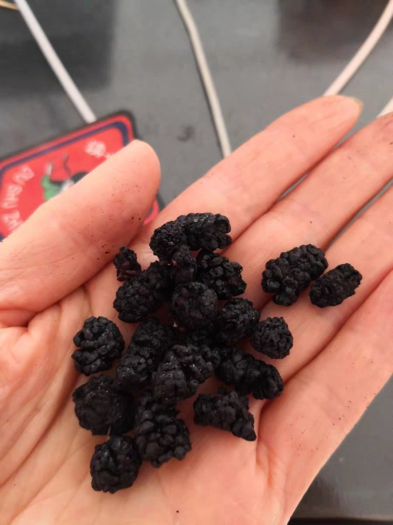 黑桑葚干新疆特产无沙桑子可做桑葚膏泡酒茶400g