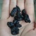 黑桑葚干新疆特产无沙桑子可做桑葚膏泡酒茶400g