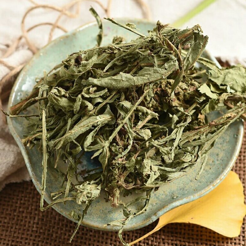 六耳棱六棱菊千余品种供应承接订单