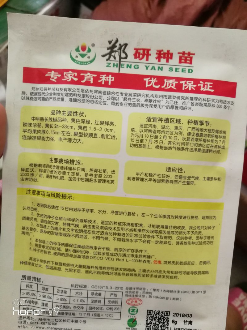 线椒种子辣椒种子深绿色辣椒种子产量高抗性好