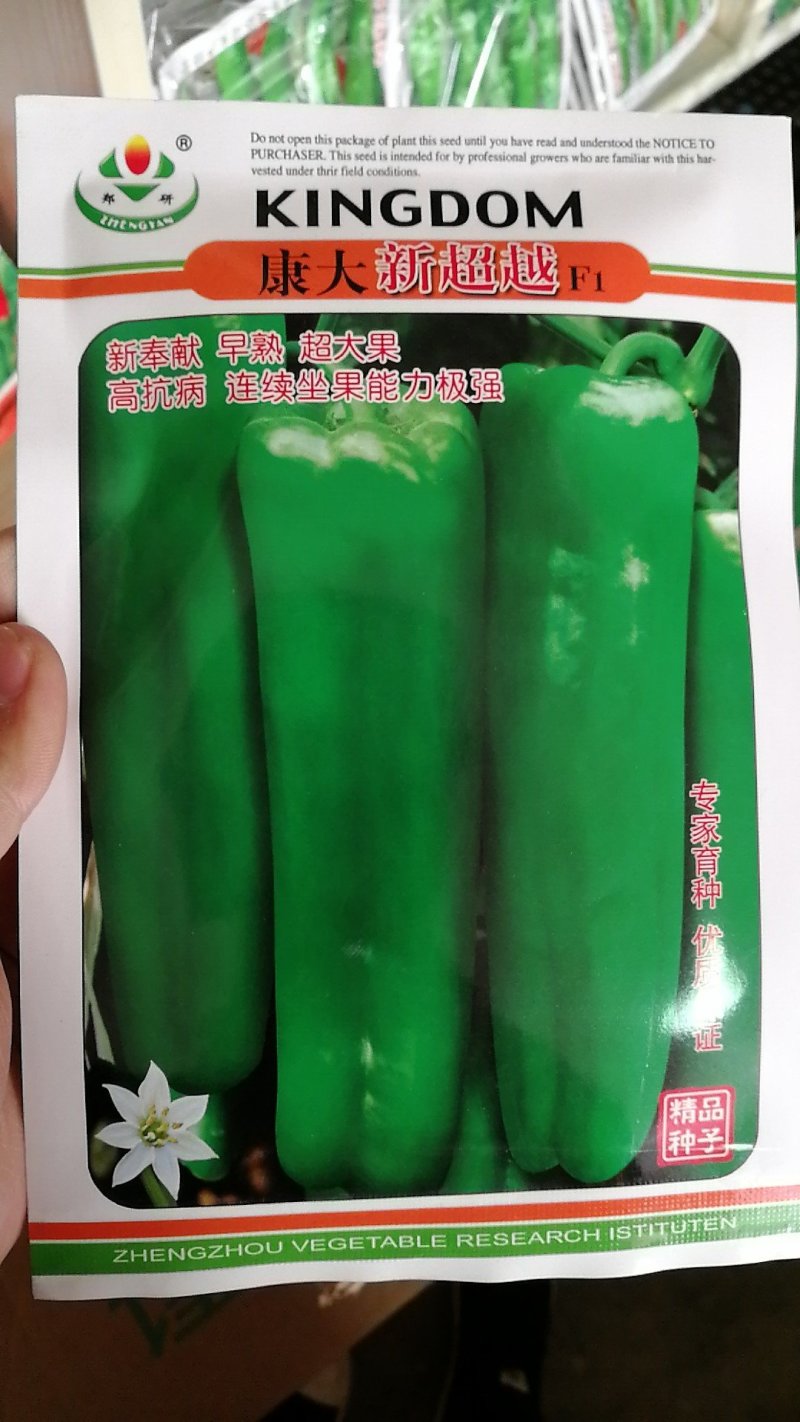 薄皮牛角椒辣椒种子超大抗病高产品质好好上市