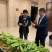 薄皮牛角椒辣椒种子超大抗病高产品质好好上市