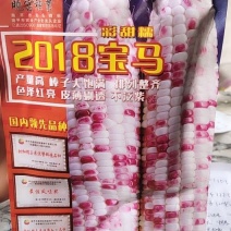 彩甜糯2018宝马。鲜艳亮丽，口感好。