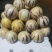【热销】反季人参果（圆果）大量有货产地直销质保价优