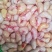 新鲜鸡腰