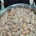 新鲜鸡腰