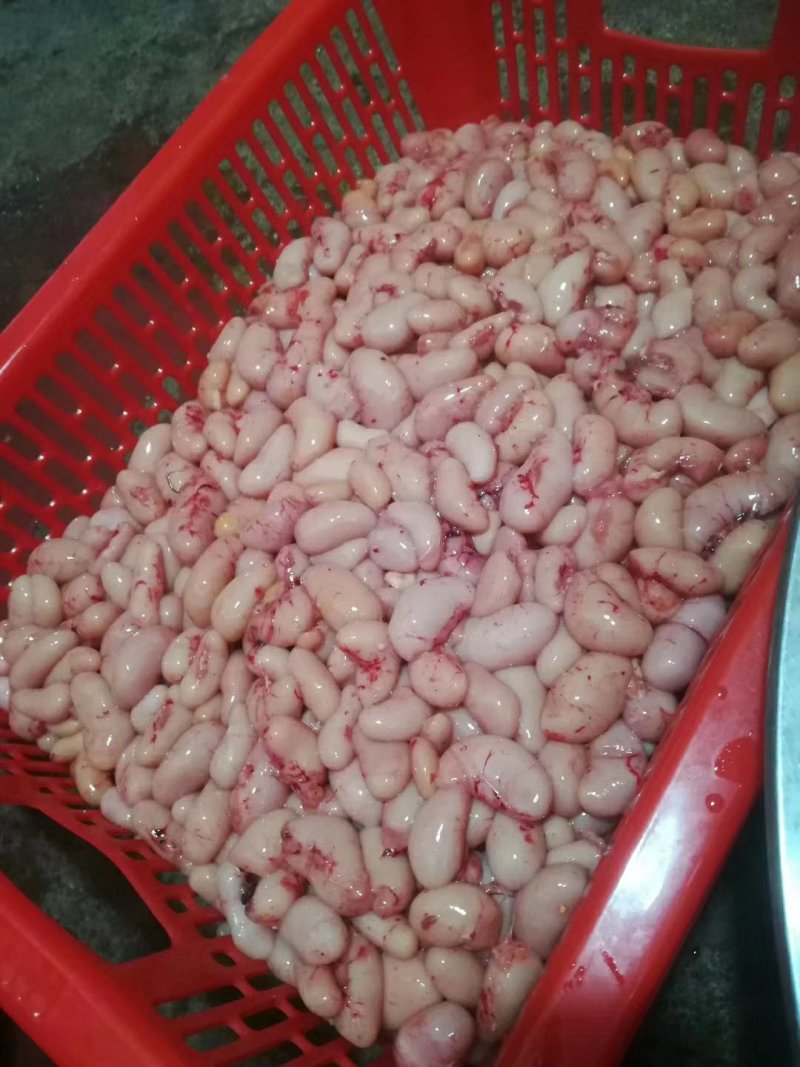 新鲜鸡腰