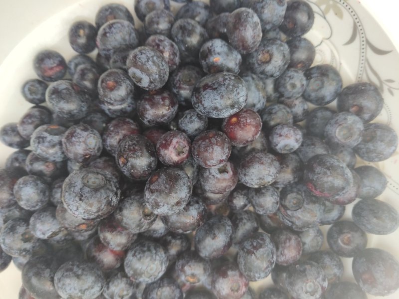 鲜果速冻蓝莓浆果大果粒蓝莓果黑龙江发货大量批发零售