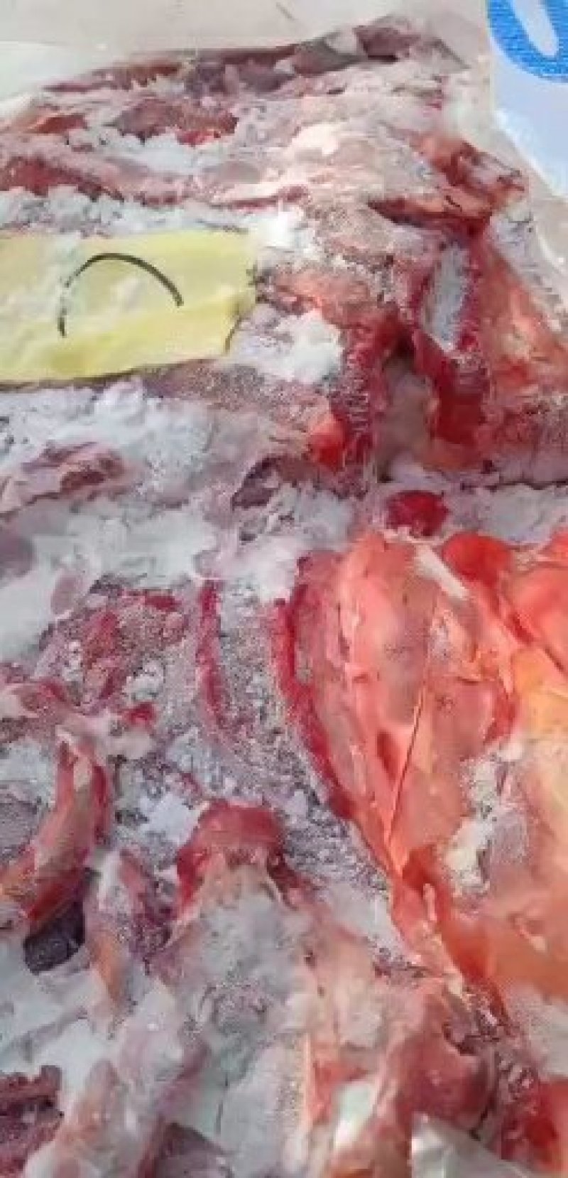 蒙古鲜马肉，五分体，九分体，20年10月新货，经过核酸检