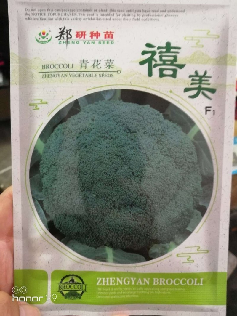 【优质】精选郑研种苗西蓝花种子品质好产量高抗性好
