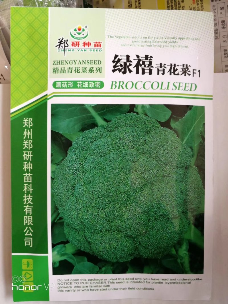 【优质】精选郑研种苗西蓝花种子品质好产量高抗性好