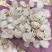 脱皮脱苦甜杏仁～做杏仁露及食品加工辅料专用料材，质量好