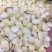 脱皮脱苦甜杏仁～做杏仁露及食品加工辅料专用料材，质量好