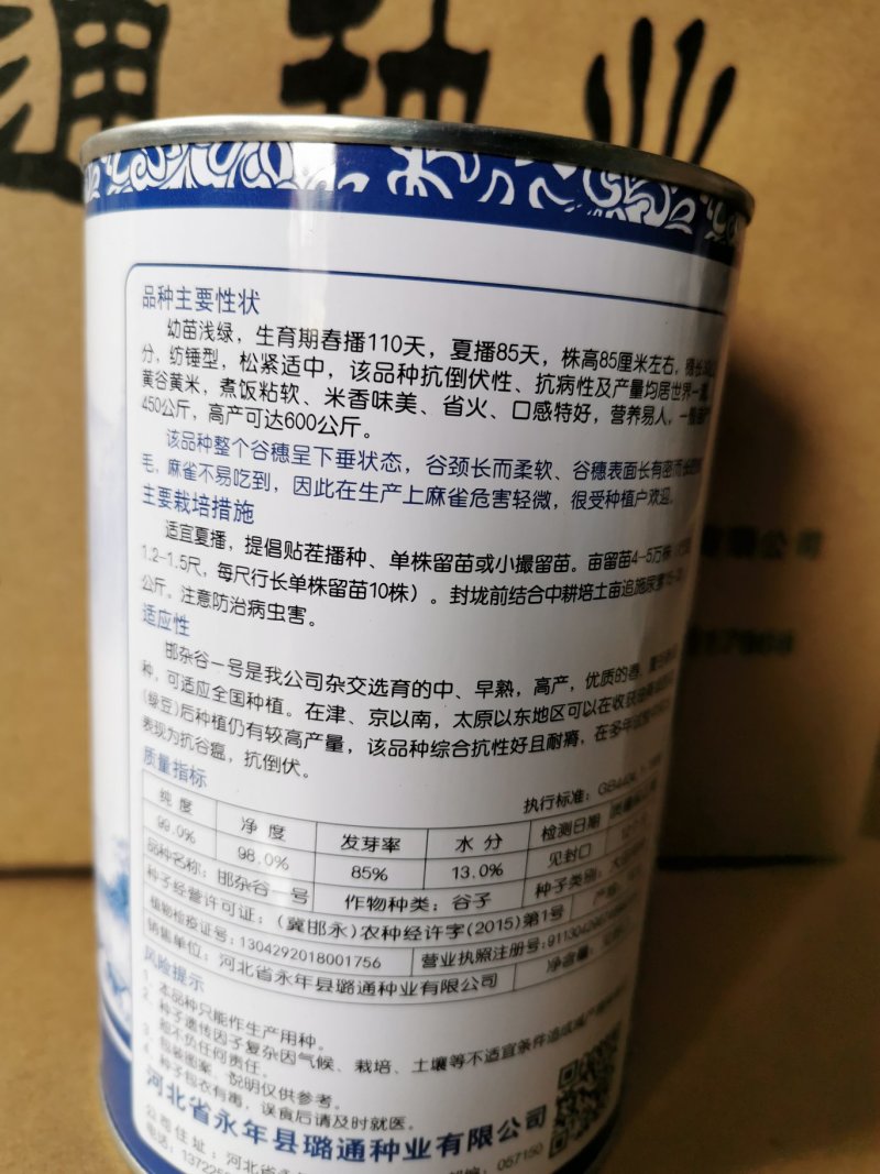 邯杂谷1号早熟高产大穗香糯小米种子谷子种子批发抗鸟