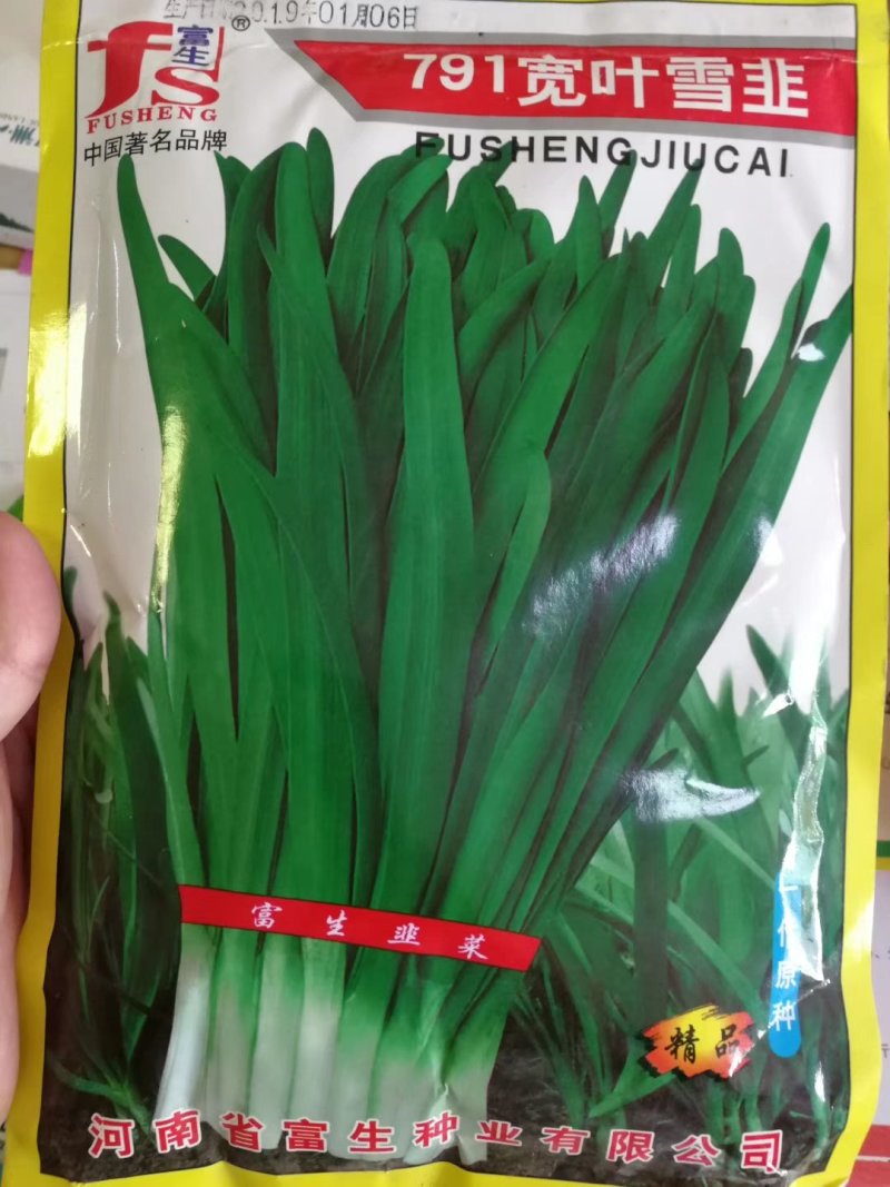 白根紫根红独根红绿根韭菜种子口感好产量高品质好抗性好